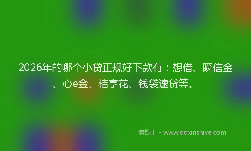 2026年的哪个小贷正规好下款有：想借、瞬信金、心e金、桔享花、钱袋速贷等。