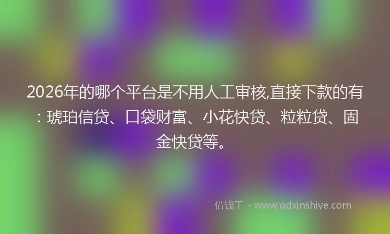 2026年的哪个平台是不用人工审核,直接下款的有：琥珀信贷、口袋财富、小花快贷、粒粒贷、固金快贷等。