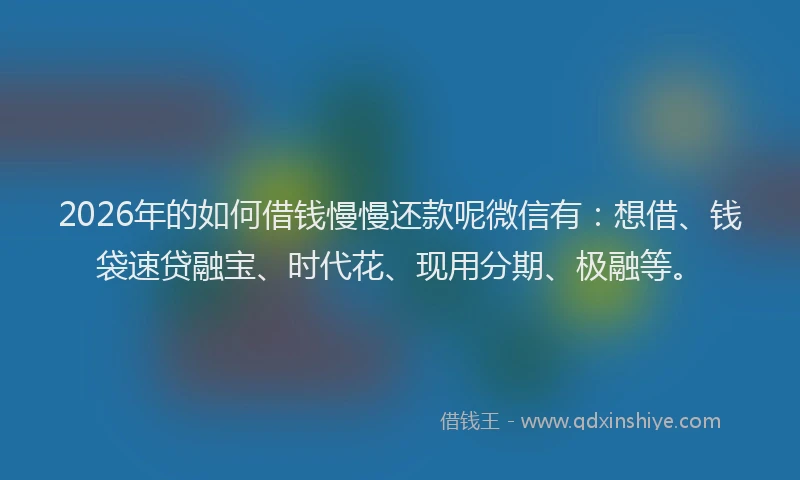 2026年的如何借钱慢慢还款呢微信有：想借、钱袋速贷融宝、时代花、现用分期、极融等。