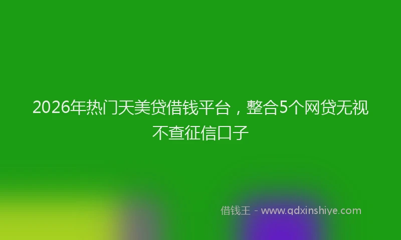 2026年热门天美贷借钱平台，整合5个网贷无视不查征信口子
