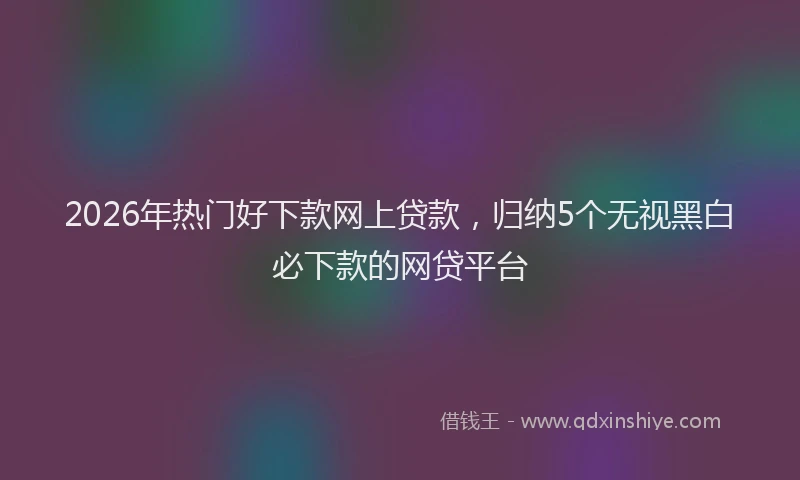 2026年热门好下款网上贷款，归纳5个无视黑白必下款的网贷平台