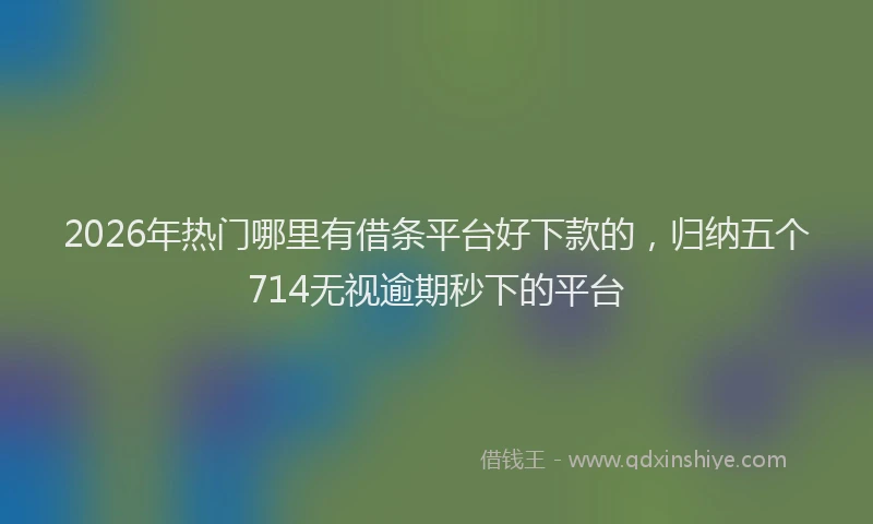 2026年热门哪里有借条平台好下款的，归纳五个714无视逾期秒下的平台