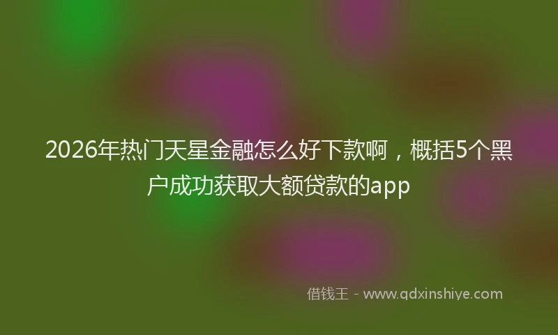 2026年热门天星金融怎么好下款啊，概括5个黑户成功获取大额贷款的app