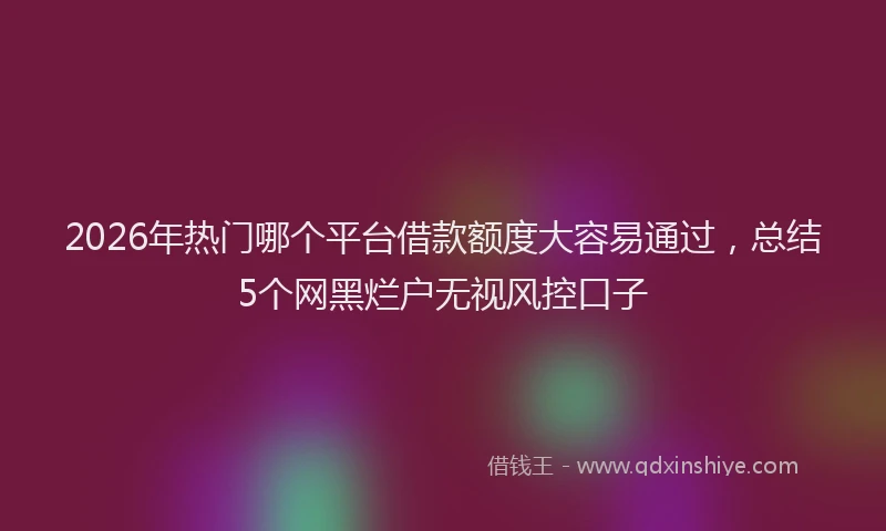 2026年热门哪个平台借款额度大容易通过，总结5个网黑烂户无视风控口子