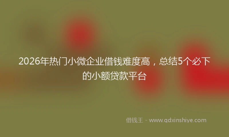 2026年热门小微企业借钱难度高，总结5个必下的小额贷款平台
