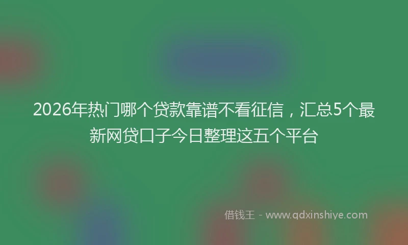 2026年热门哪个贷款靠谱不看征信，汇总5个最新网贷口子今日整理这五个平台