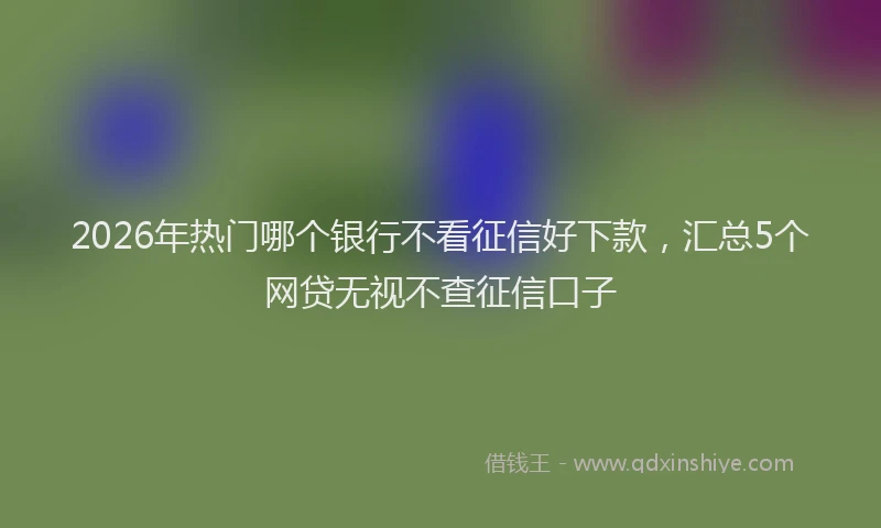 2026年热门哪个银行不看征信好下款，汇总5个网贷无视不查征信口子