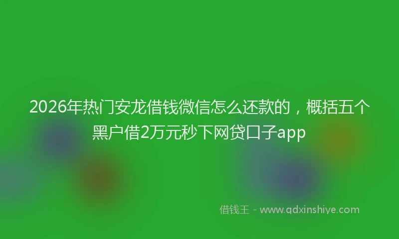 2026年热门安龙借钱微信怎么还款的，概括五个黑户借2万元秒下网贷口子app