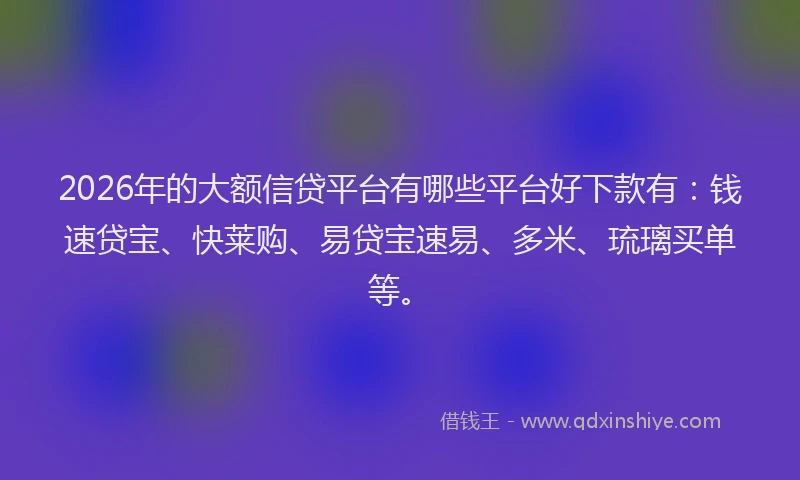 2026年的大额信贷平台有哪些平台好下款有：钱速贷宝、快莱购、易贷宝速易、多米、琉璃买单等。