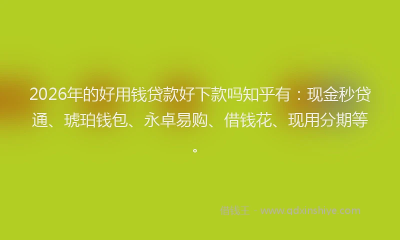 2026年的好用钱贷款好下款吗知乎有：现金秒贷通、琥珀钱包、永卓易购、借钱花、现用分期等。
