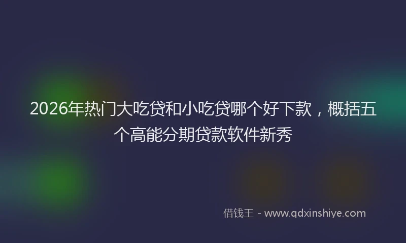 2026年热门大吃贷和小吃贷哪个好下款，概括五个高能分期贷款软件新秀