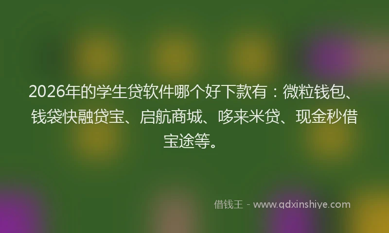 2026年的学生贷软件哪个好下款有：微粒钱包、钱袋快融贷宝、启航商城、哆来米贷、现金秒借宝途等。