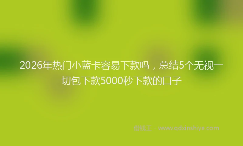 2026年热门小蓝卡容易下款吗，总结5个无视一切包下款5000秒下款的口子