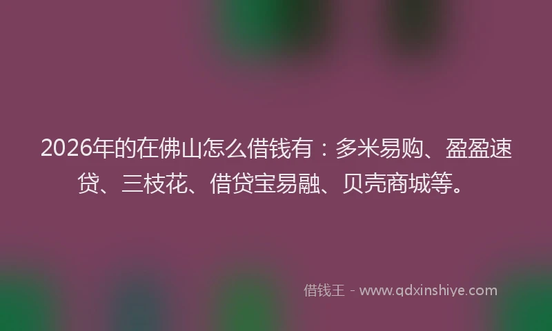 2026年的在佛山怎么借钱有：多米易购、盈盈速贷、三枝花、借贷宝易融、贝壳商城等。