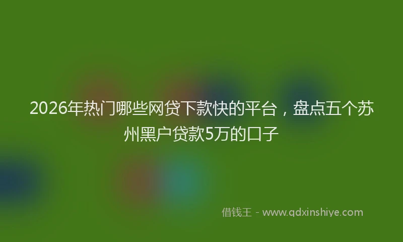 2026年热门哪些网贷下款快的平台，盘点五个苏州黑户贷款5万的口子