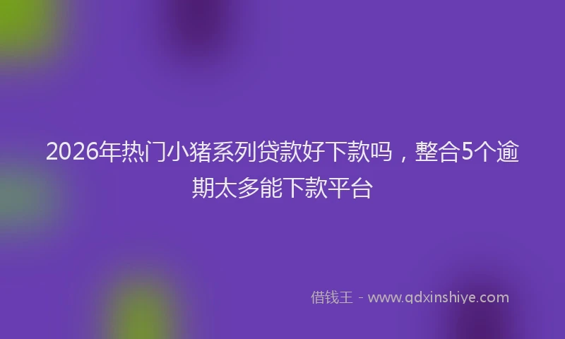 2026年热门小猪系列贷款好下款吗，整合5个逾期太多能下款平台