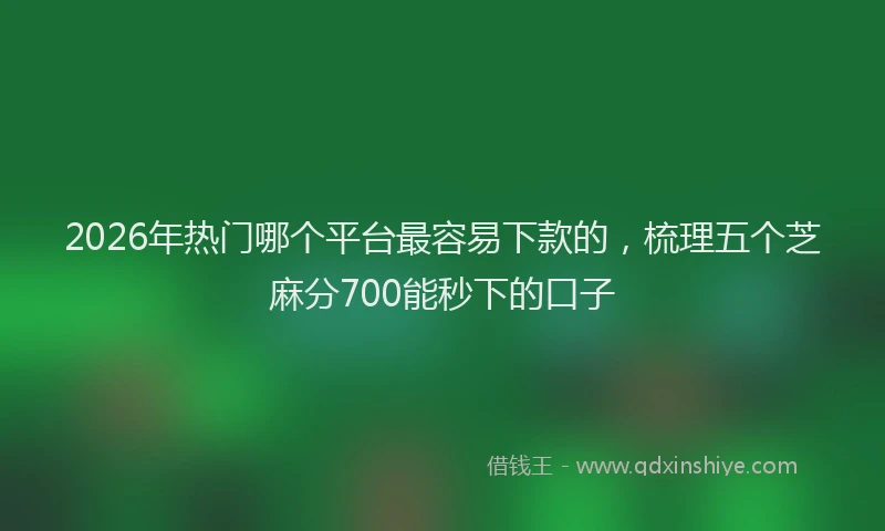 2026年热门哪个平台最容易下款的，梳理五个芝麻分700能秒下的口子