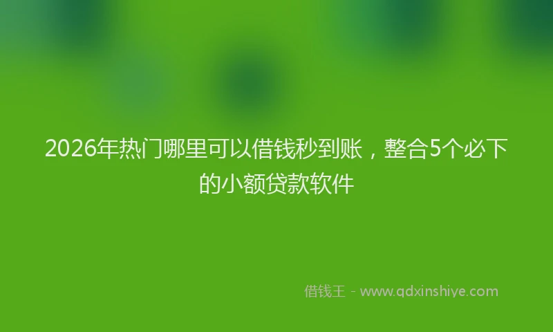 2026年热门哪里可以借钱秒到账，整合5个必下的小额贷款软件
