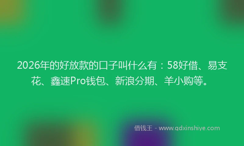 2026年的好放款的口子叫什么有：58好借、易支花、鑫速Pro钱包、新浪分期、羊小购等。