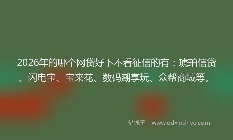 2026年的哪个网贷好下不看征信的有：琥珀信贷、闪电宝、宝来花、数码潮享玩、众帮商城等。