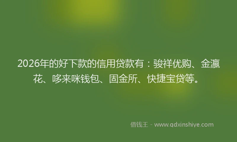 2026年的好下款的信用贷款有：骏祥优购、金瀛花、哆来咪钱包、固金所、快捷宝贷等。