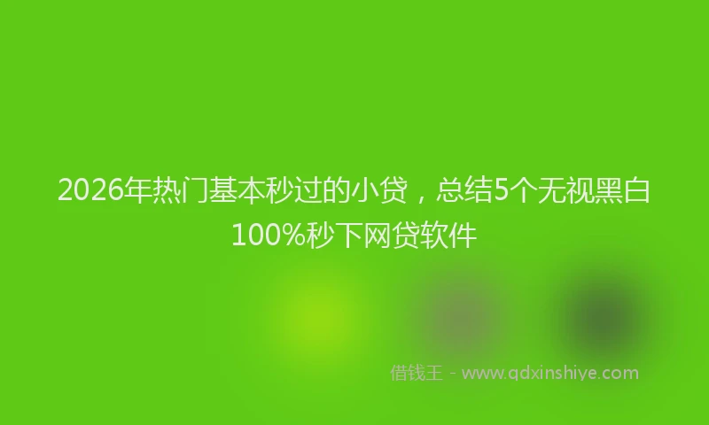 2026年热门基本秒过的小贷，总结5个无视黑白100%秒下网贷软件