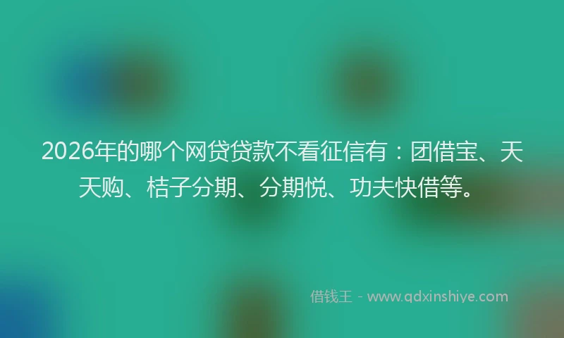 2026年的哪个网贷贷款不看征信有：团借宝、天天购、桔子分期、分期悦、功夫快借等。