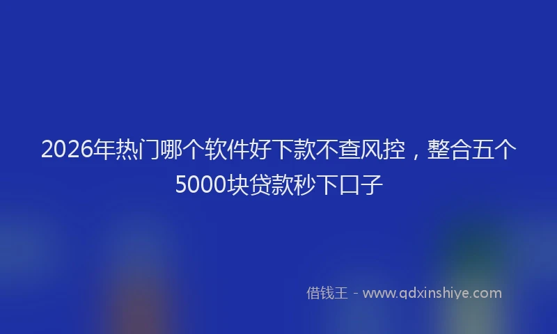 2026年热门哪个软件好下款不查风控，整合五个5000块贷款秒下口子