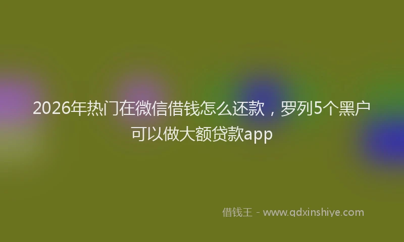 2026年热门在微信借钱怎么还款，罗列5个黑户可以做大额贷款app