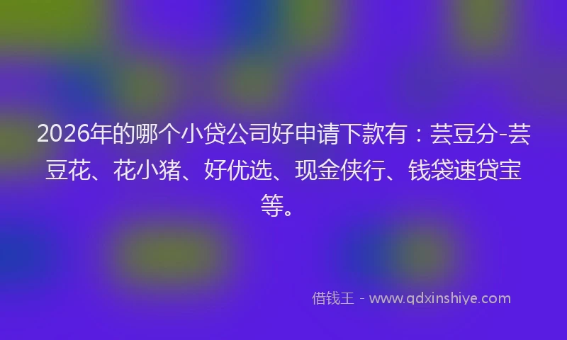 2026年的哪个小贷公司好申请下款有：芸豆分-芸豆花、花小猪、好优选、现金侠行、钱袋速贷宝等。