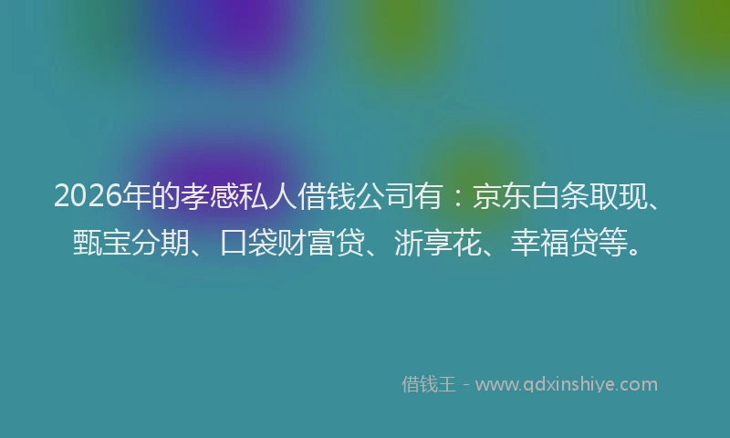 2026年的孝感私人借钱公司有：京东白条取现、甄宝分期、口袋财富贷、浙享花、幸福贷等。