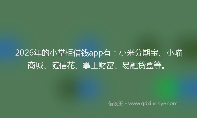 2026年的小掌柜借钱app有：小米分期宝、小喵商城、随信花、掌上财富、易融贷盒等。