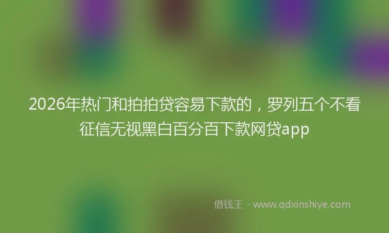 2026年热门和拍拍贷容易下款的，罗列五个不看征信无视黑白百分百下款网贷app