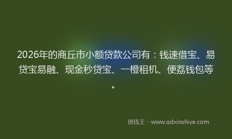2026年的商丘市小额贷款公司有：钱速借宝、易贷宝易融、现金秒贷宝、一橙租机、便荔钱包等。