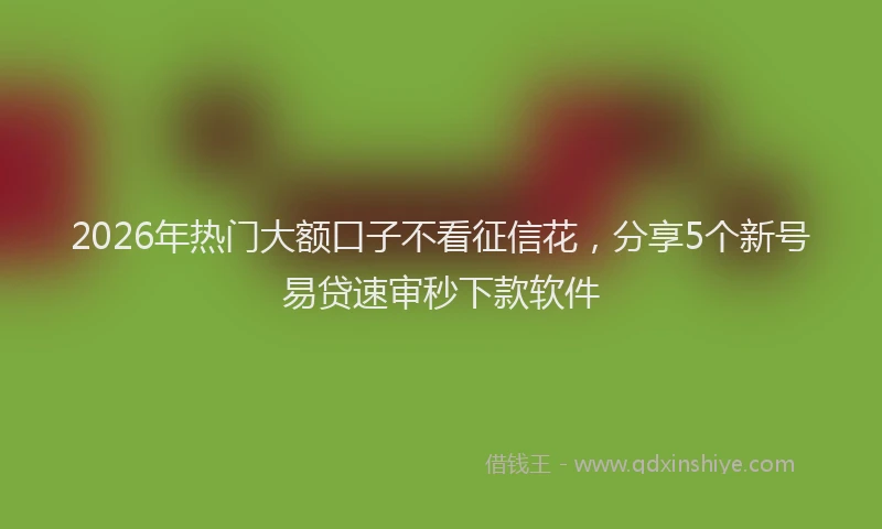 2026年热门大额口子不看征信花，分享5个新号易贷速审秒下款软件