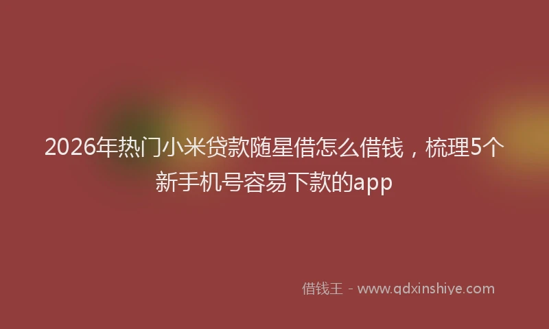 2026年热门小米贷款随星借怎么借钱，梳理5个新手机号容易下款的app