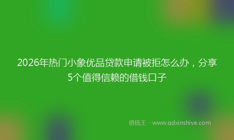 2026年热门小象优品贷款申请被拒怎么办，分享5个值得信赖的借钱口子