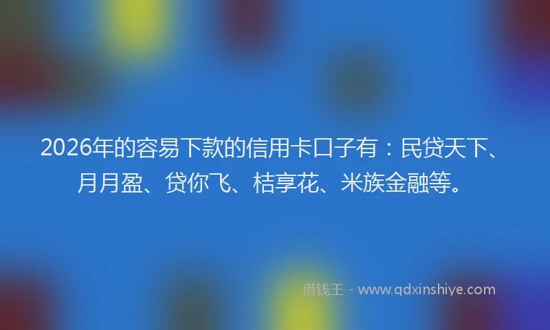 2026年的容易下款的信用卡口子有：民贷天下、月月盈、贷你飞、桔享花、米族金融等。