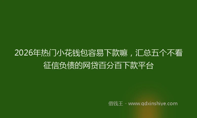 2026年热门小花钱包容易下款嘛，汇总五个不看征信负债的网贷百分百下款平台