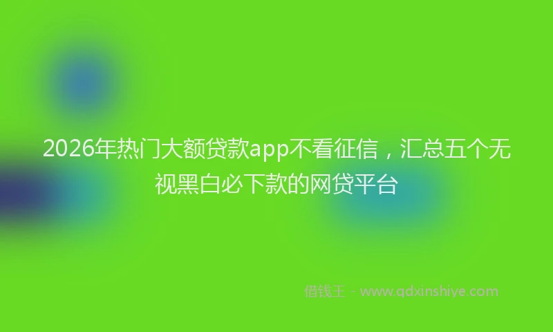 2026年热门大额贷款app不看征信，汇总五个无视黑白必下款的网贷平台
