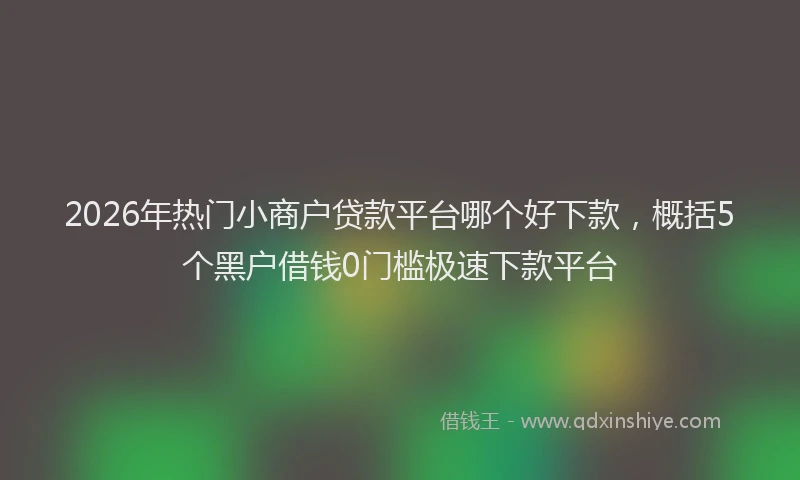 2026年热门小商户贷款平台哪个好下款，概括5个黑户借钱0门槛极速下款平台