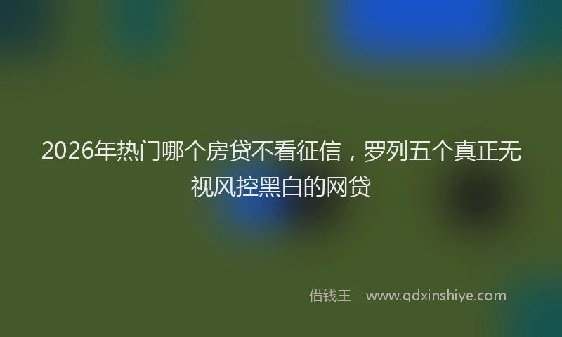 2026年热门哪个房贷不看征信，罗列五个真正无视风控黑白的网贷