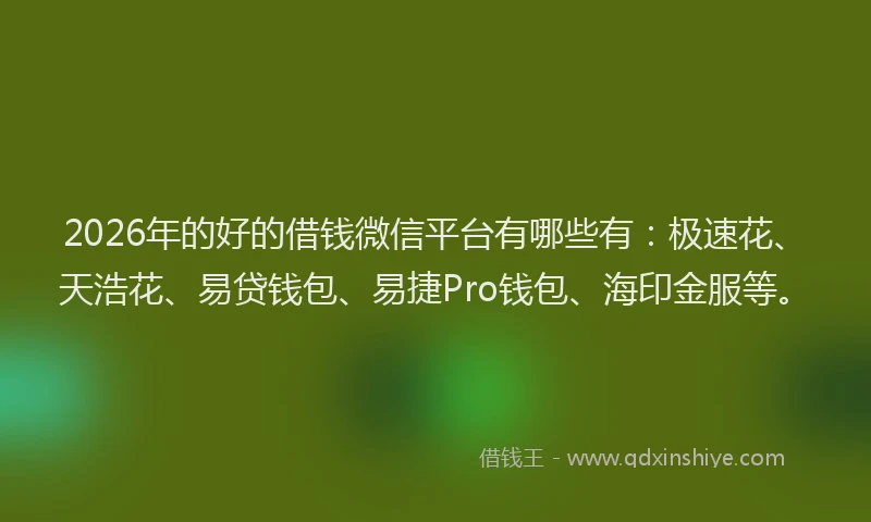 2026年的好的借钱微信平台有哪些有：极速花、天浩花、易贷钱包、易捷Pro钱包、海印金服等。