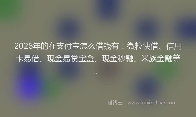 2026年的在支付宝怎么借钱有：微粒快借、信用卡易借、现金易贷宝盒、现金秒融、米族金融等。