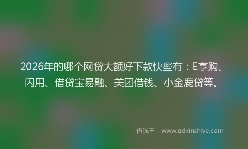 2026年的哪个网贷大额好下款快些有：E享购、闪用、借贷宝易融、美团借钱、小金鹿贷等。