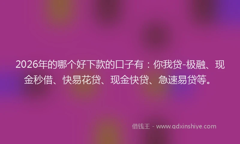 2026年的哪个好下款的口子有：你我贷-极融、现金秒借、快易花贷、现金快贷、急速易贷等。