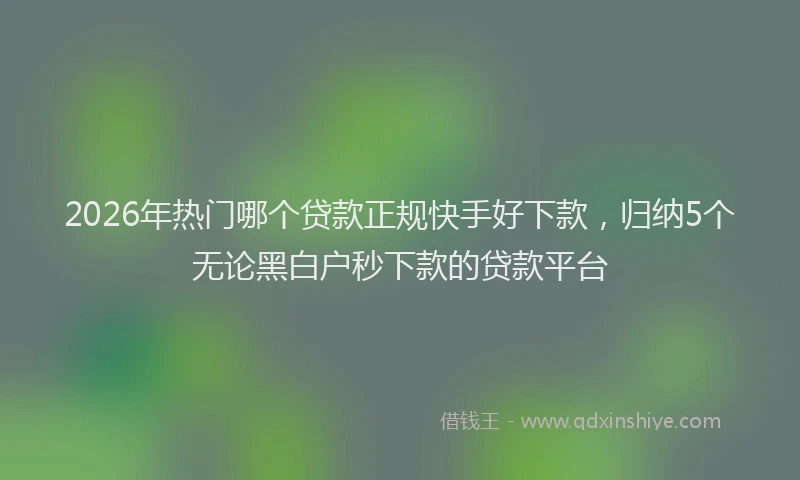 2026年热门哪个贷款正规快手好下款，归纳5个无论黑白户秒下款的贷款平台
