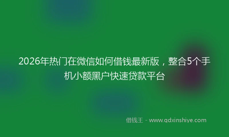 2026年热门在微信如何借钱最新版，整合5个手机小额黑户快速贷款平台