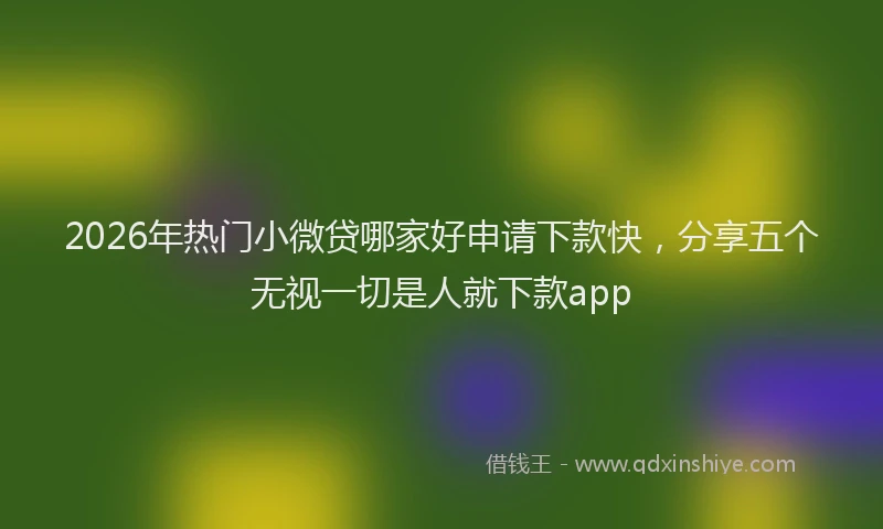 2026年热门小微贷哪家好申请下款快，分享五个无视一切是人就下款app