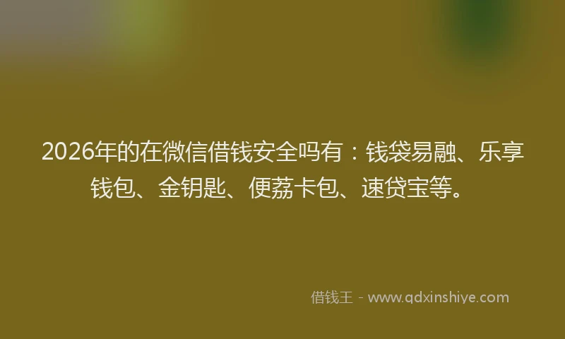 2026年的在微信借钱安全吗有：钱袋易融、乐享钱包、金钥匙、便荔卡包、速贷宝等。